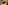 _MG_5229
