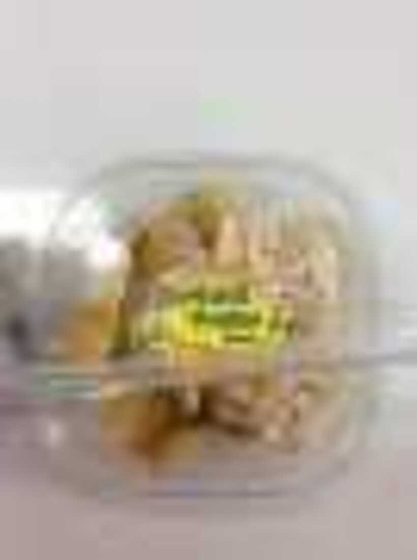 S__5005381