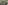 17_resize
