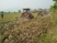 20150128_145938_resize