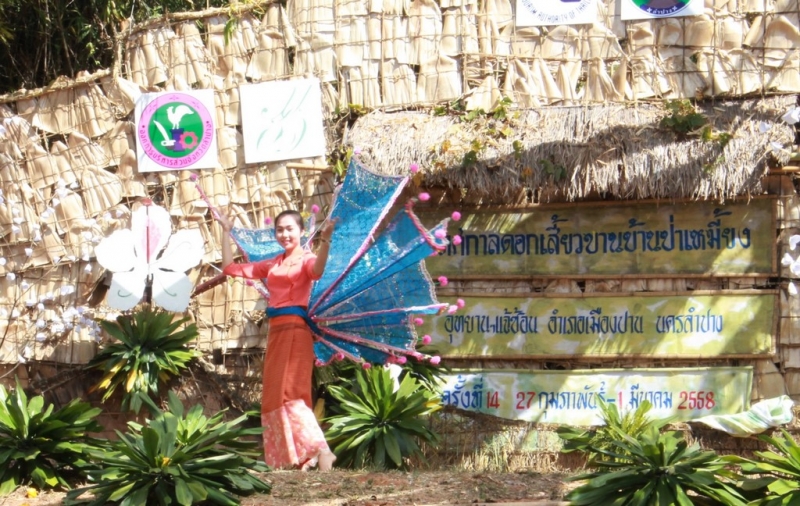 IMG_1023 (Copy)