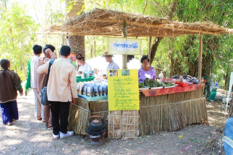 IMG_1116 (Copy)