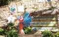IMG_1023 (Copy)