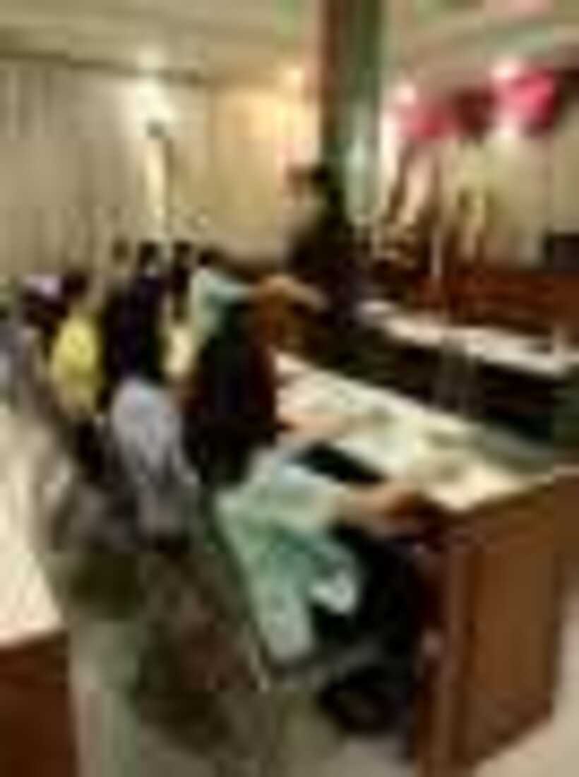 29733_resize