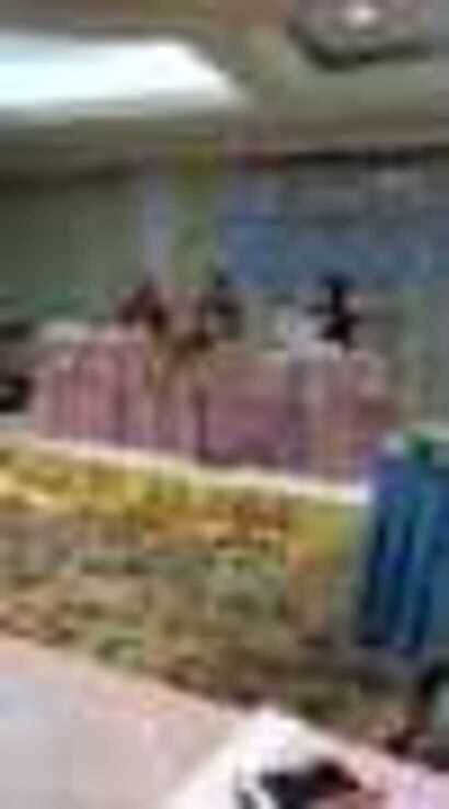 pic-10
