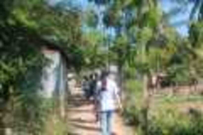 24_resize