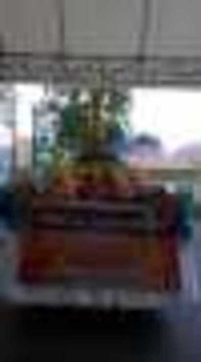 pic-1