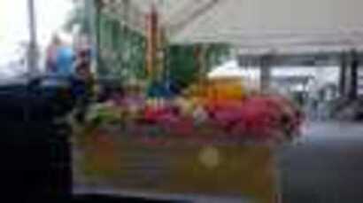 pic-2