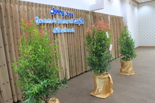 sdu (3)