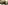 DSCF0375