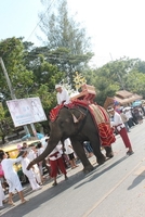 IMG_7074_resize