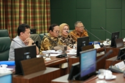 SDUINDO31