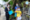 ป2-3-1024x682