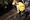 AI5A2509_resize