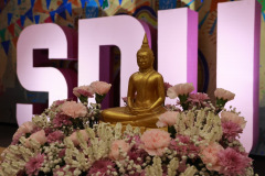 209A8312_resize