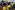 209A0481_resize