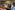 209A0508_resize