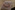 209A5982_resize