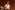 209A6025_resize