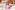 209A6035_resize