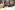 AP7A6539_resize