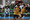 209A9904_resize