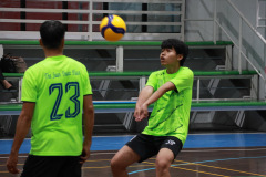 209A4117_resize