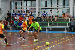 209A4302_resize