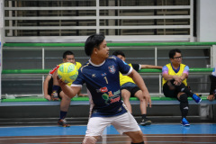 209A4538_resize