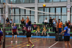 209A8968_resize