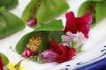 209A5069_resize