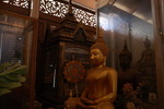 209A3263_resize
