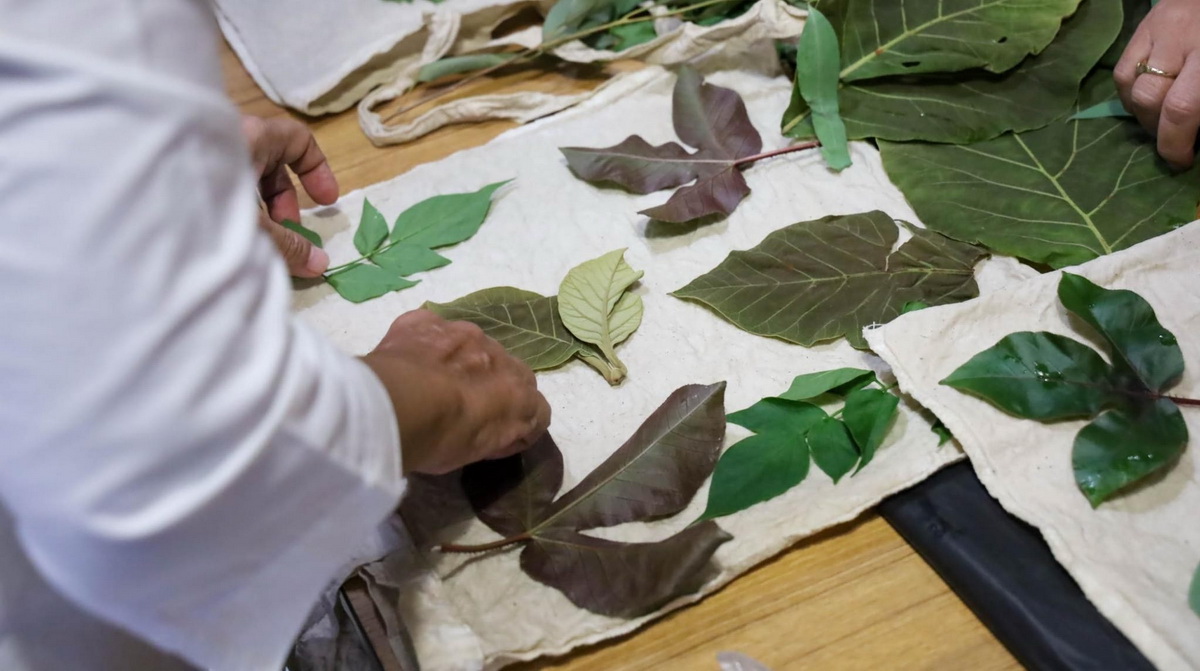 LINE_ALBUM_Eco-print_240902_13_resize