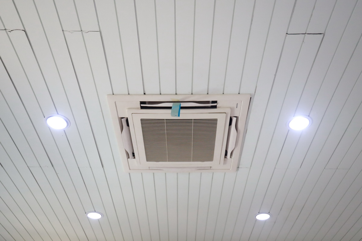 AI5A3630_resize