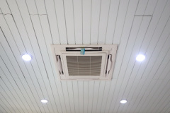 AI5A3630_resize