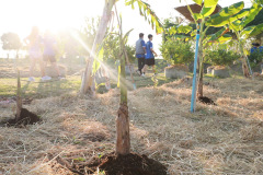 AI5A4718_resize
