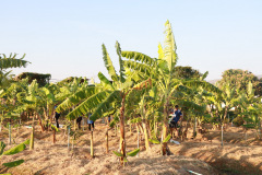 AI5A4722_resize