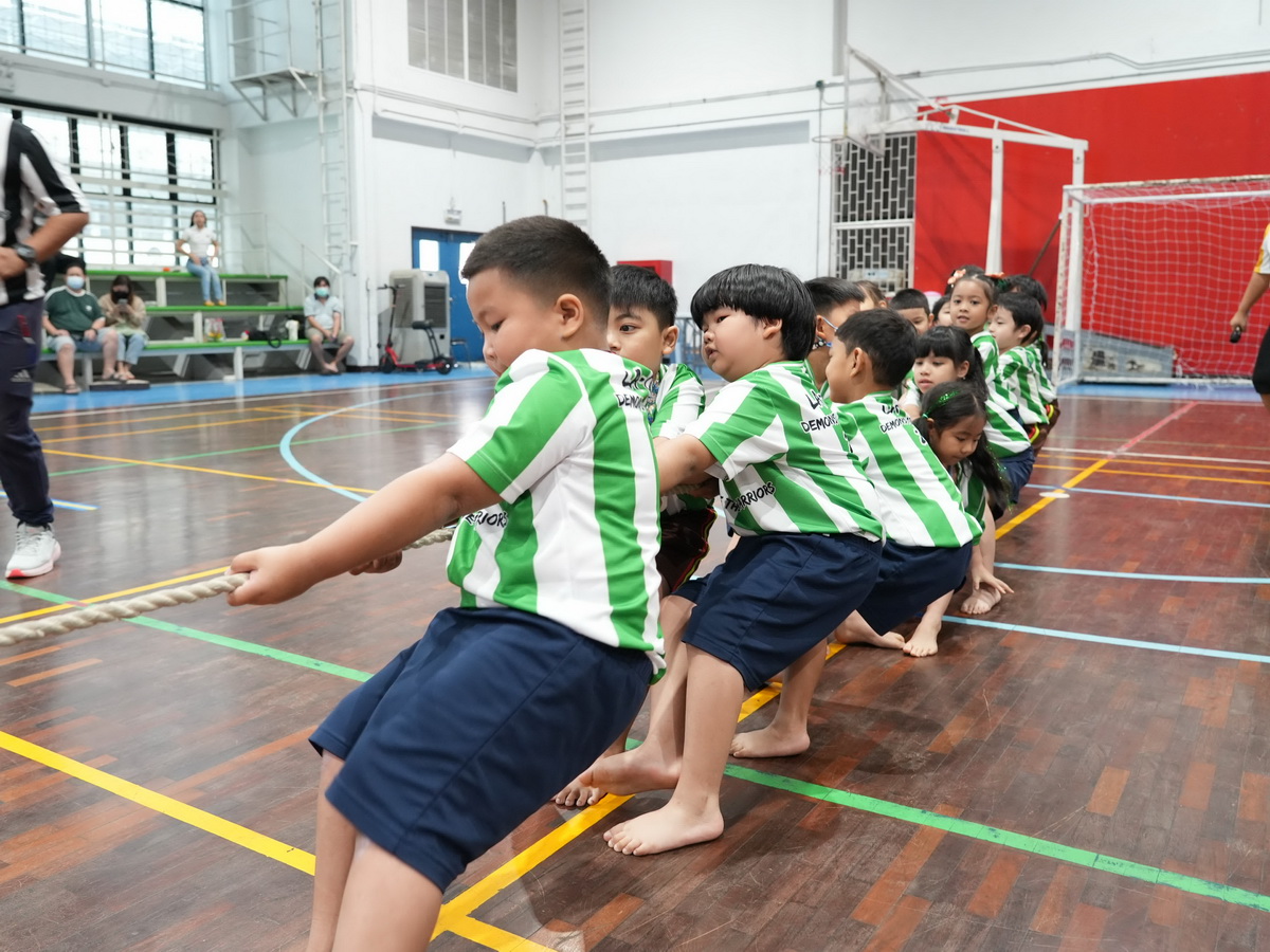 P_P01126_resize
