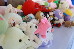 AI5A2009_resize