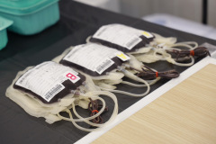 AI5A7710_resize