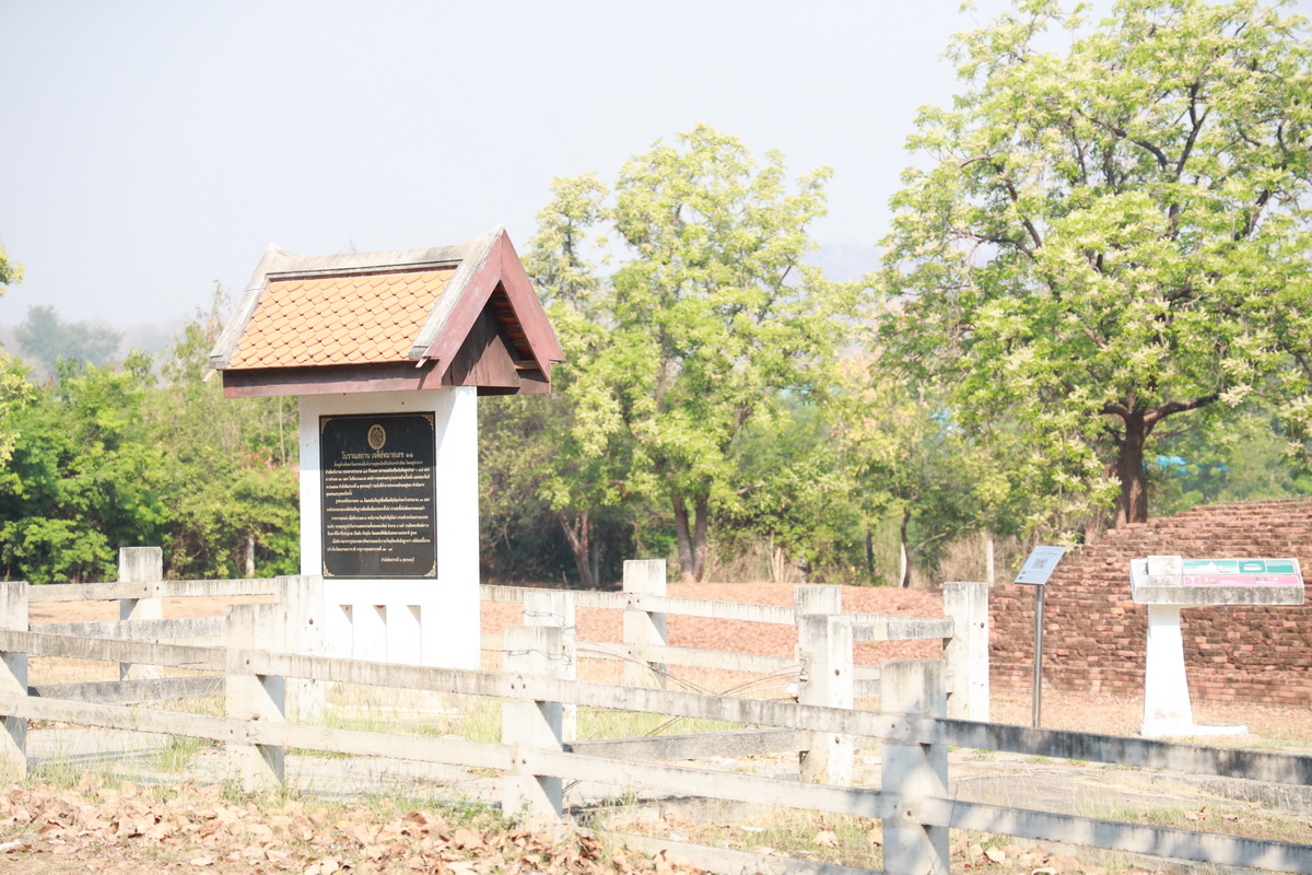 AI5A8980_resize