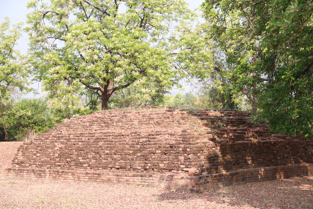 AI5A9015_resize