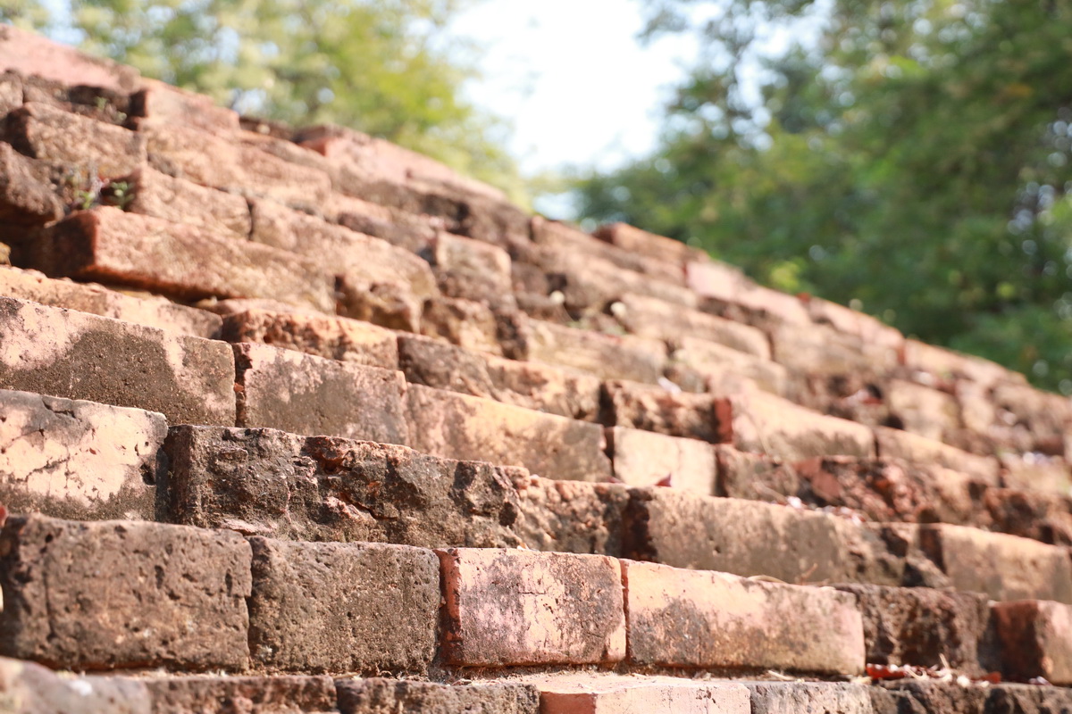 AI5A9028_resize