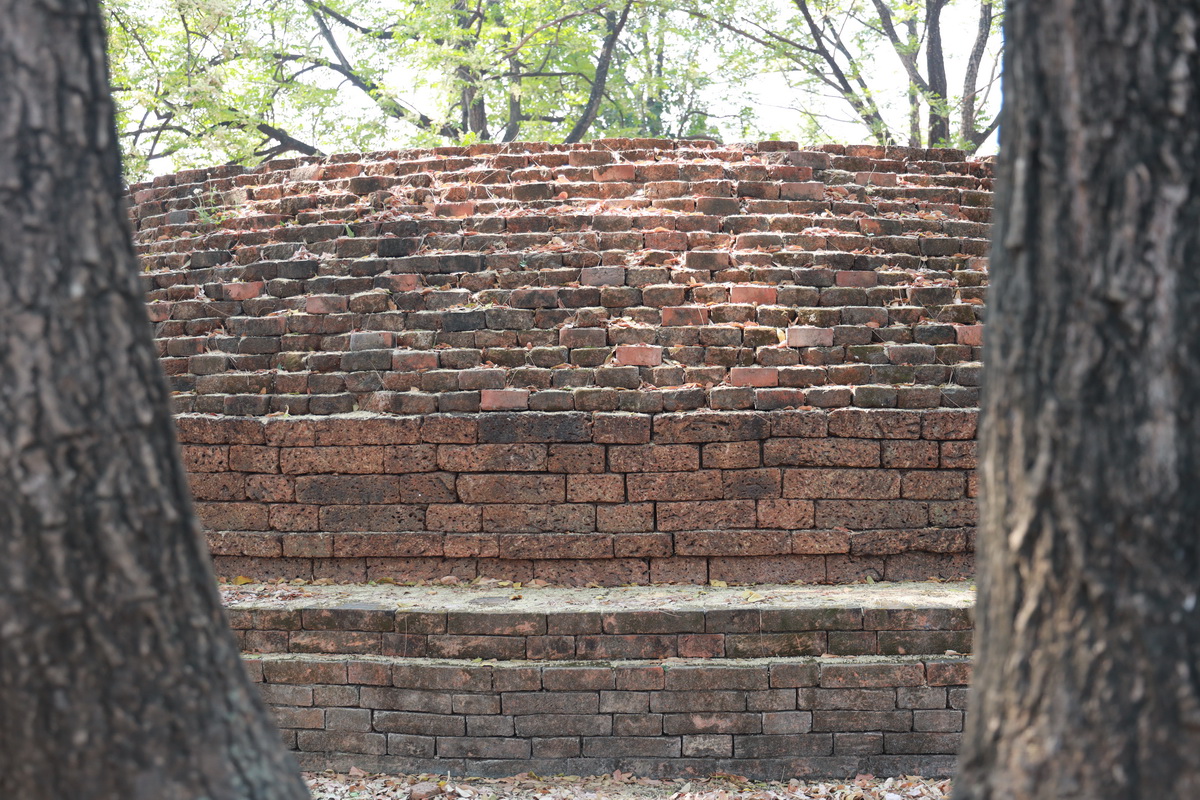 AI5A9190_resize