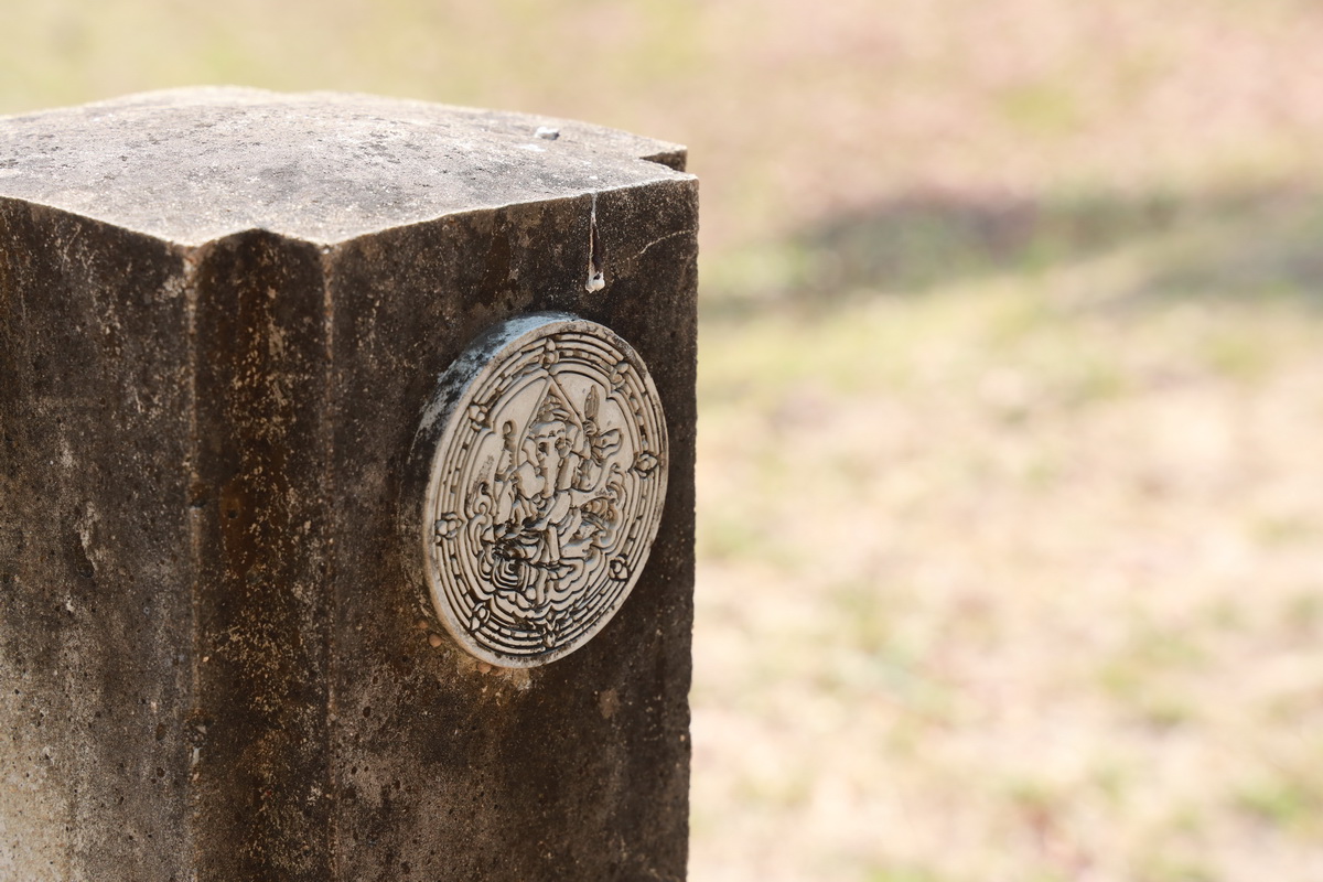 AI5A9244_resize