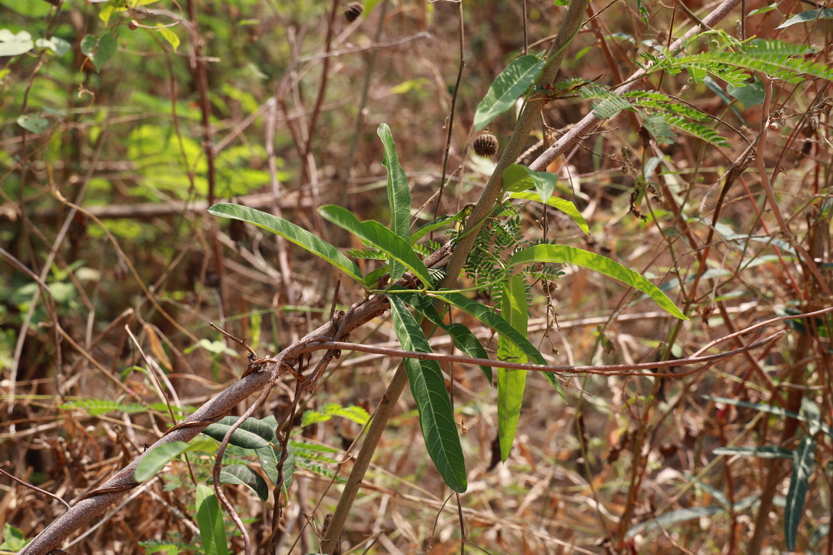 AI5A9288_resize
