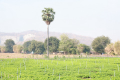AI5A8971_resize