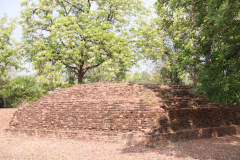 AI5A9015_resize