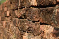 AI5A9030_resize