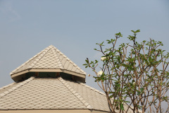 AI5A9122_resize